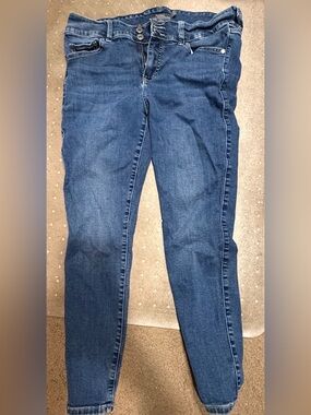 Torrid Dark Blue Jeggings